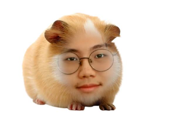 Streamer Profile Picture